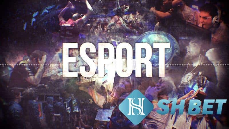 cá cược esport