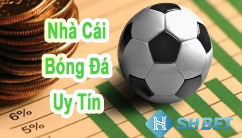 Nhà cái bóng đá - Cách thức hoạt động ra sao?