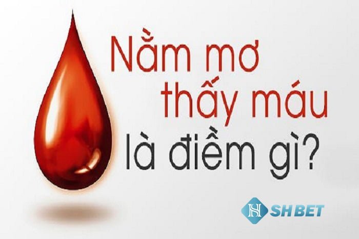 Giải mã giấc mơ thấy máu? Điềm lành hay dữ? Nên đánh con gì?