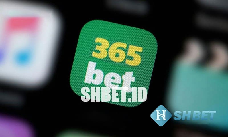 365Bet - Nhà cái online cá cược uy tín