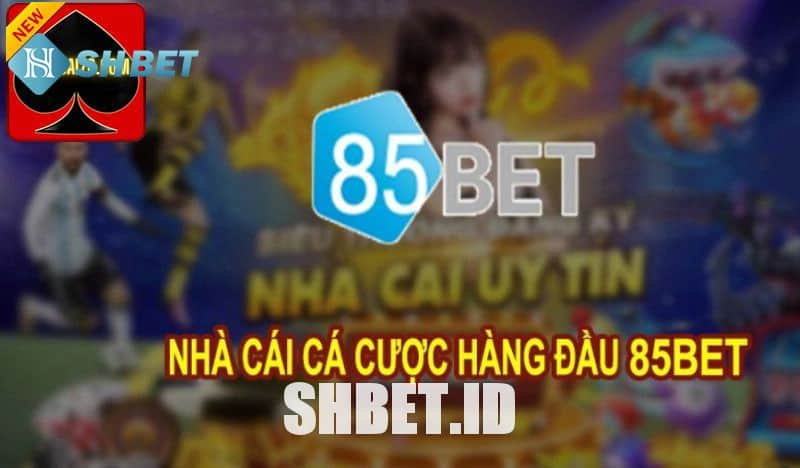 Nhà cái 85bet - Cổng game uy tín hàng đầu hiện nay