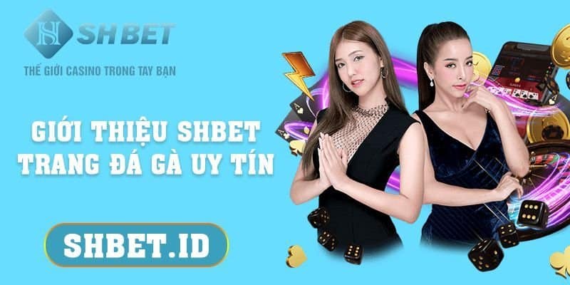 Giới thiệu SHBET - Trang đá gà uy tín từ a đến z cho tân thủ